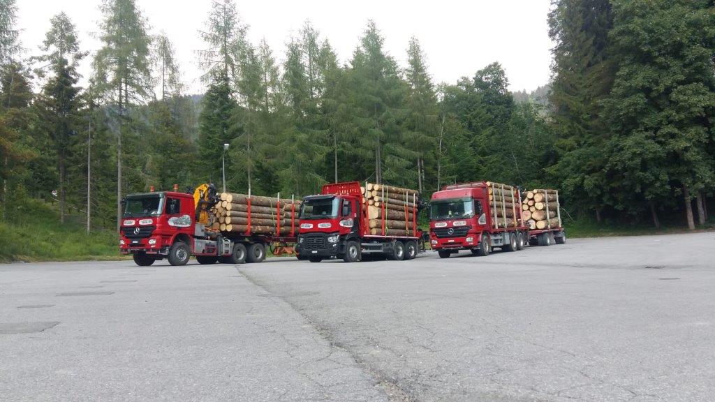 Transport Pastor Philippe - Camion Pastor en forêt