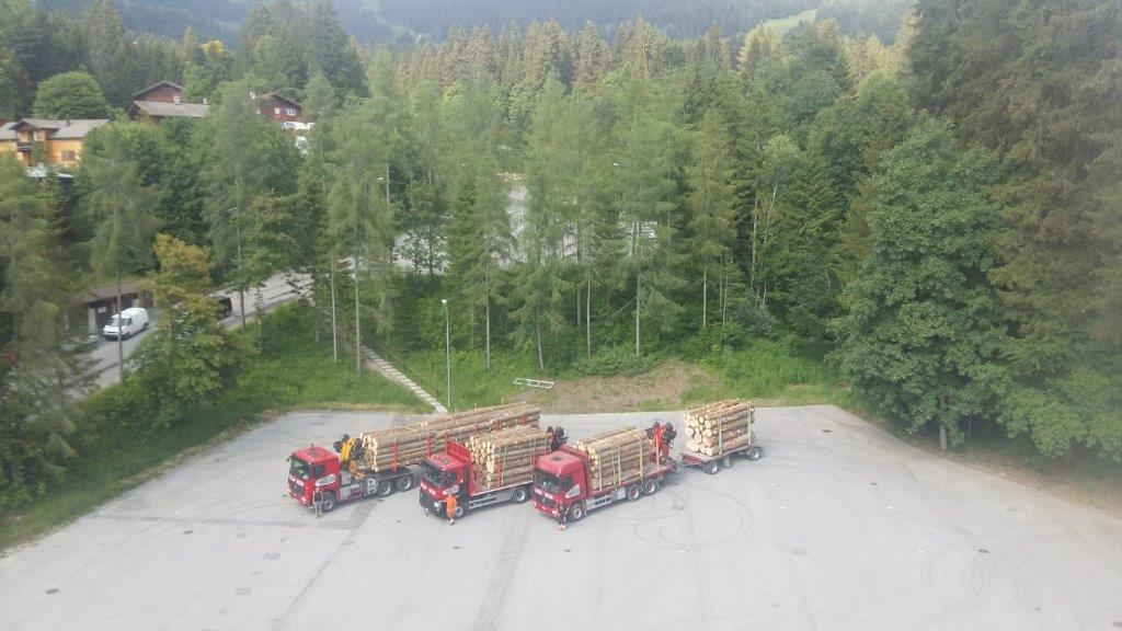 Transport Pastor Philippe - Chargement de bois