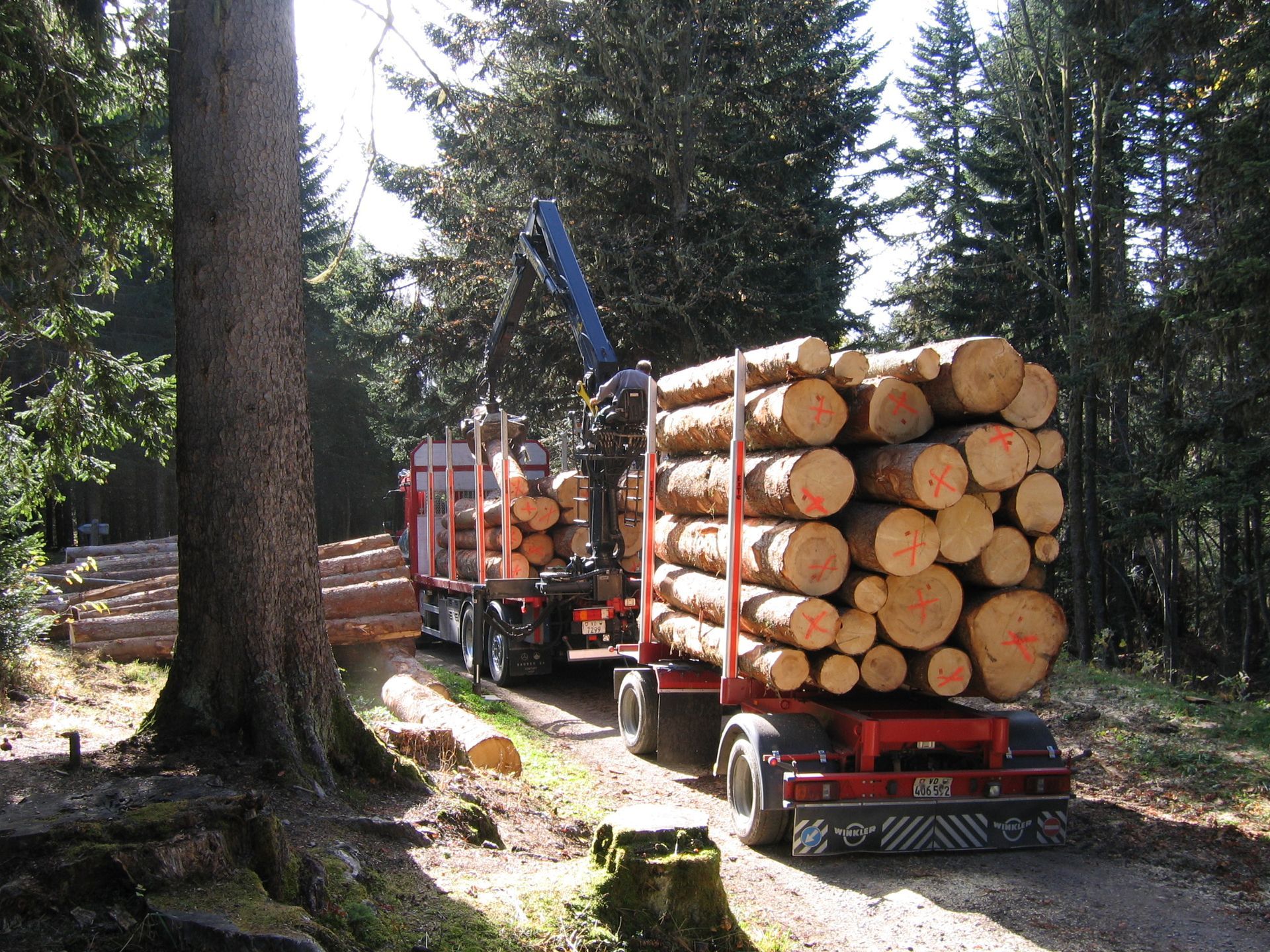 Transport Pastor Philippe - Manutention de bois avec grue